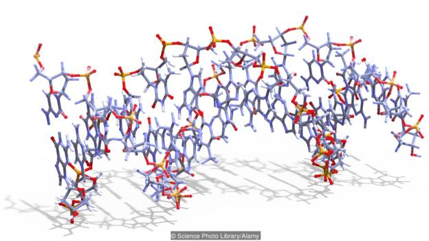 A molecule of threose nucleic acid (TNA)