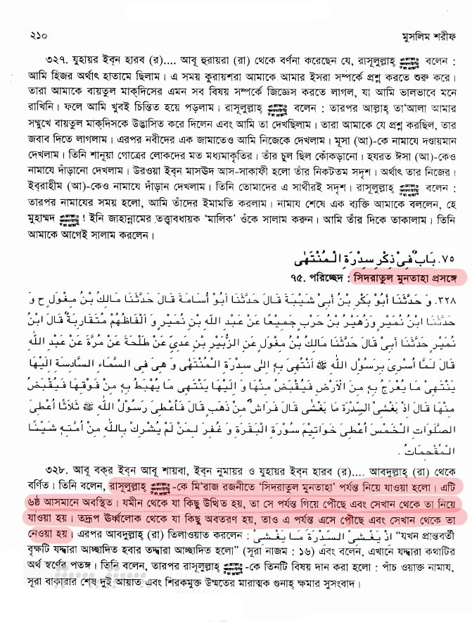 সিদরাতুল মুনতাহা | সাত আসমানের বৃক্ষ 9 সিদরাতুল মুনতাহা 8