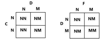 রক্ত 5