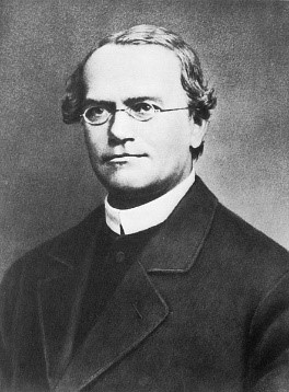 Gregor Johann Mendel