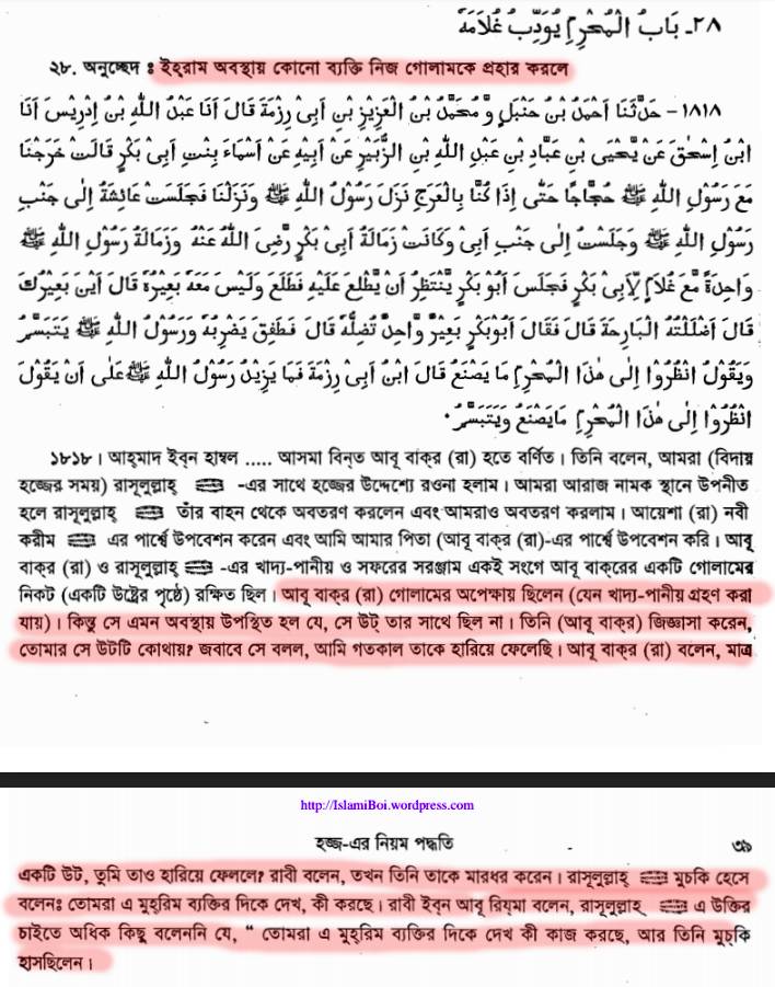 নবী মুহাম্মদ কি সর্বকালের সর্বশ্রেষ্ঠ মানুষ ছিলেন? 87 নবী 86