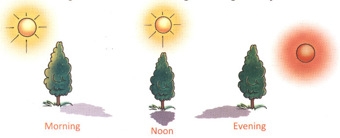 ইসলাম এবং বিজ্ঞান শিক্ষার দ্বন্দ্ব 42 বিজ্ঞান 41