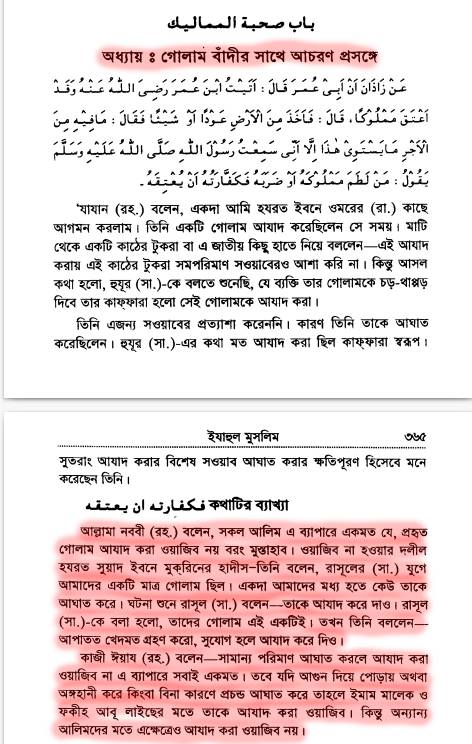 ইসলামে অমানবিক দাসপ্রথা 215 গোলাম বাঁদীর সাথে আচরণ