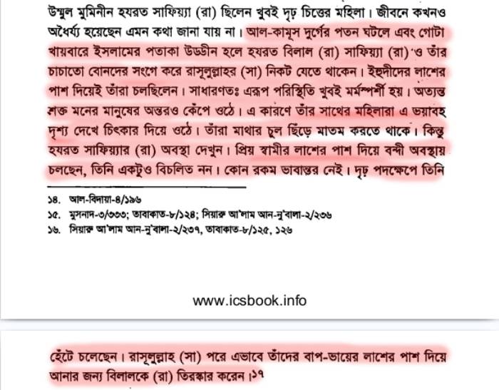 সাফিয়্যাকে নবীর গালাগালির কারণ 5 সাফিয়্যা 4