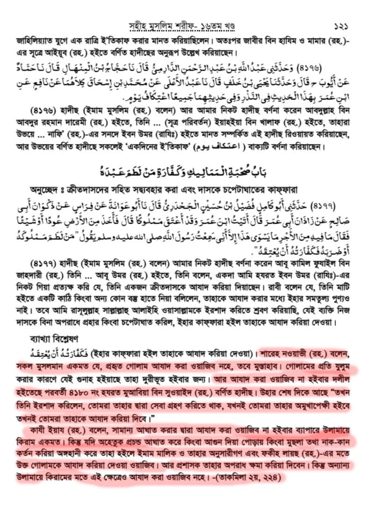 ইসলামে দাসীদের সাথে আচরণ প্রসঙ্গে 9 দাসী 8