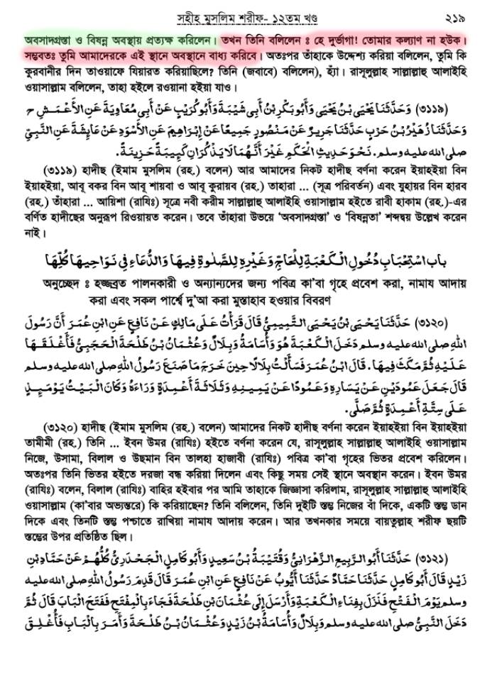 সাফিয়্যাকে নবীর গালাগালির কারণ 12 সাফিয়্যা 11