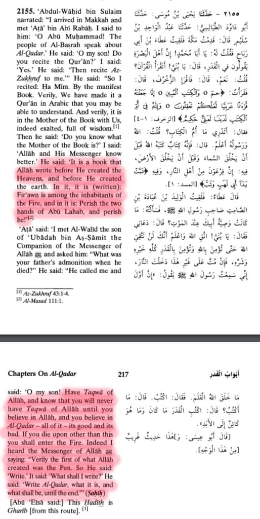 Critical Analysis of Taqdir: A Foundation of Islam 3 Taqdir 2