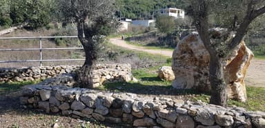 הבקתה הקטנה - 14