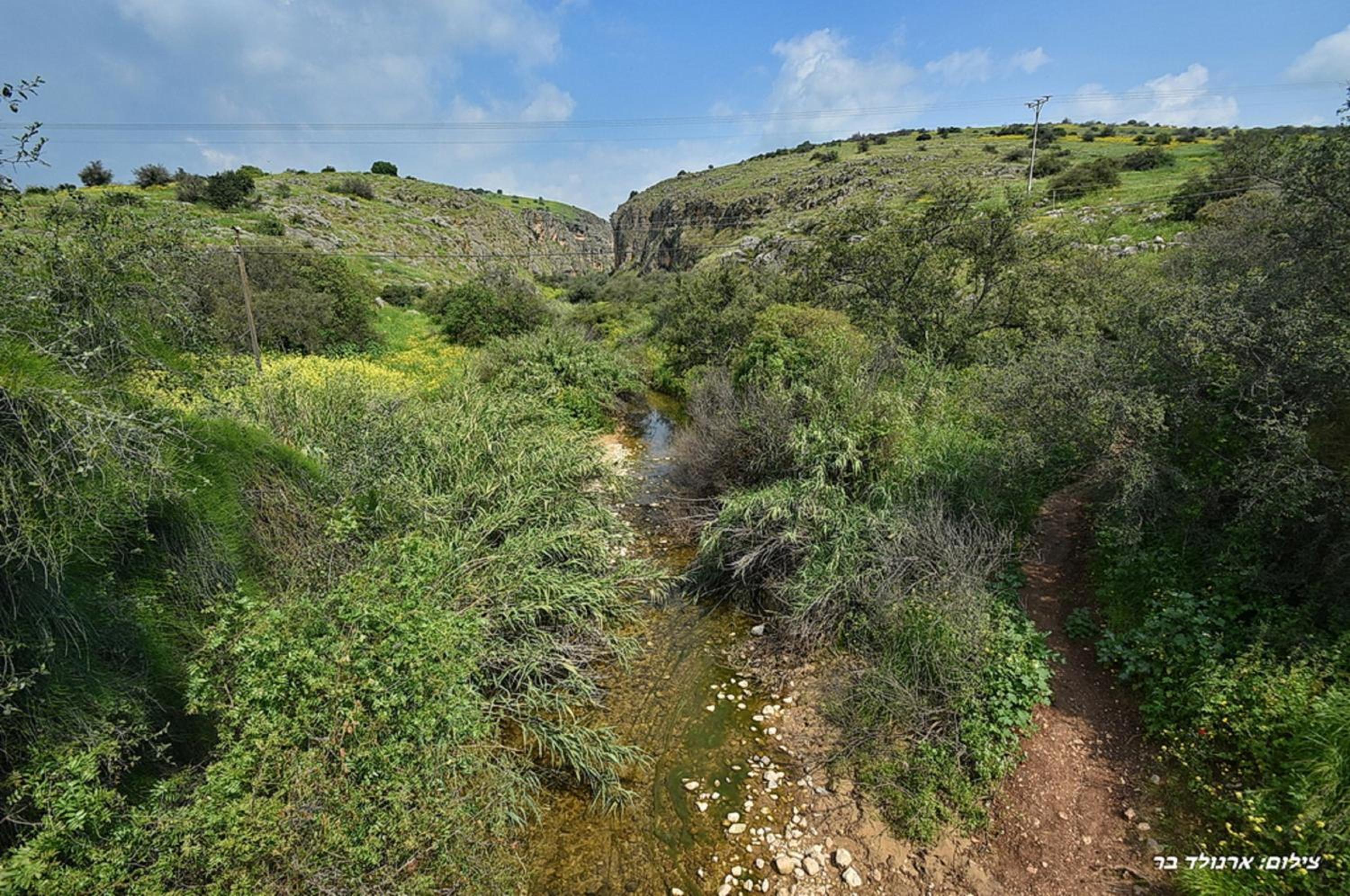 אגמה - 2