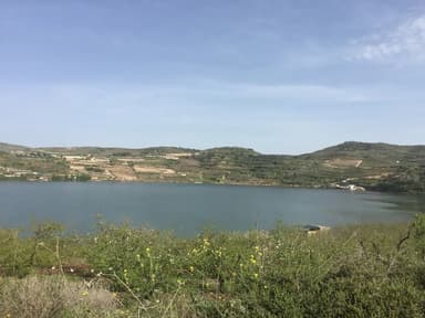 הבית של נאהד - צימר ליד החרמון - 9