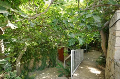 העץ הסגול - בקתת עץ עם ג'קוזי ופטיו פרטי - 6