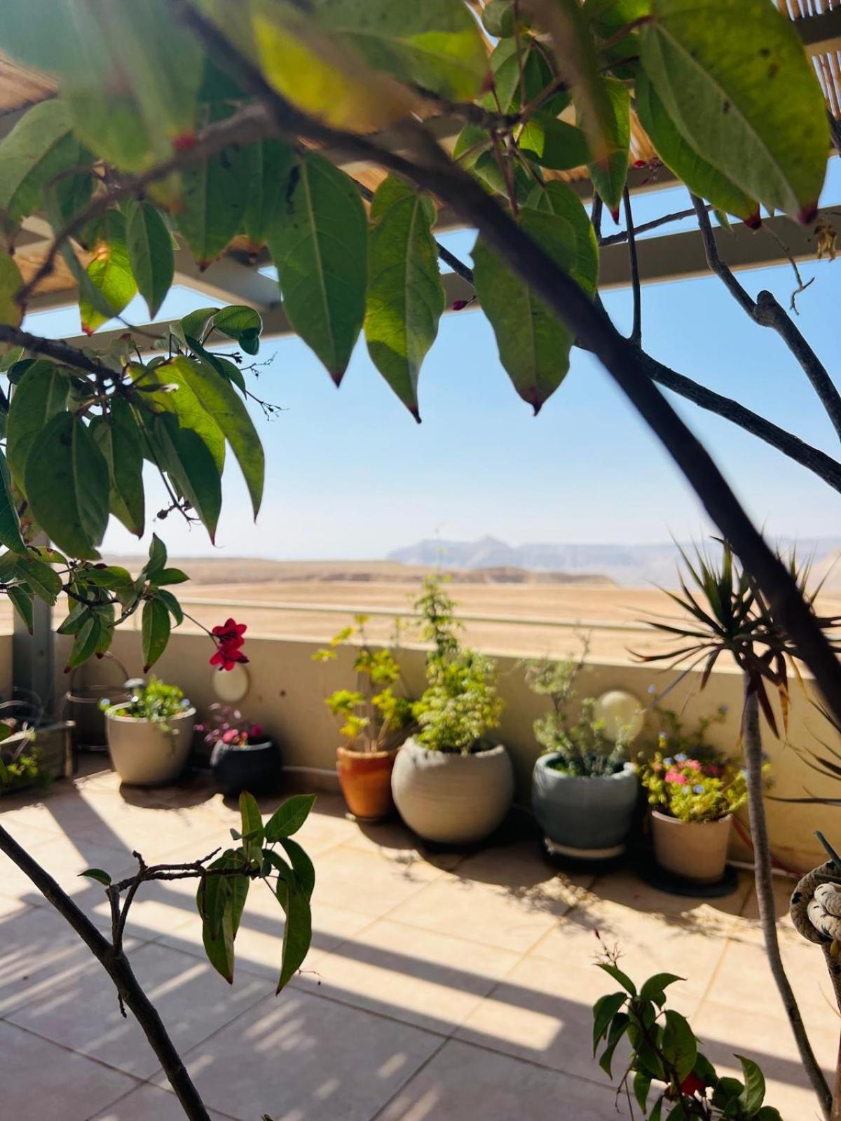 נוף בראשית - 15