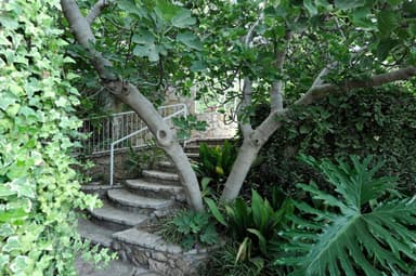 העץ הסגול - בקתת עץ עם ג'קוזי ופטיו פרטי - 10