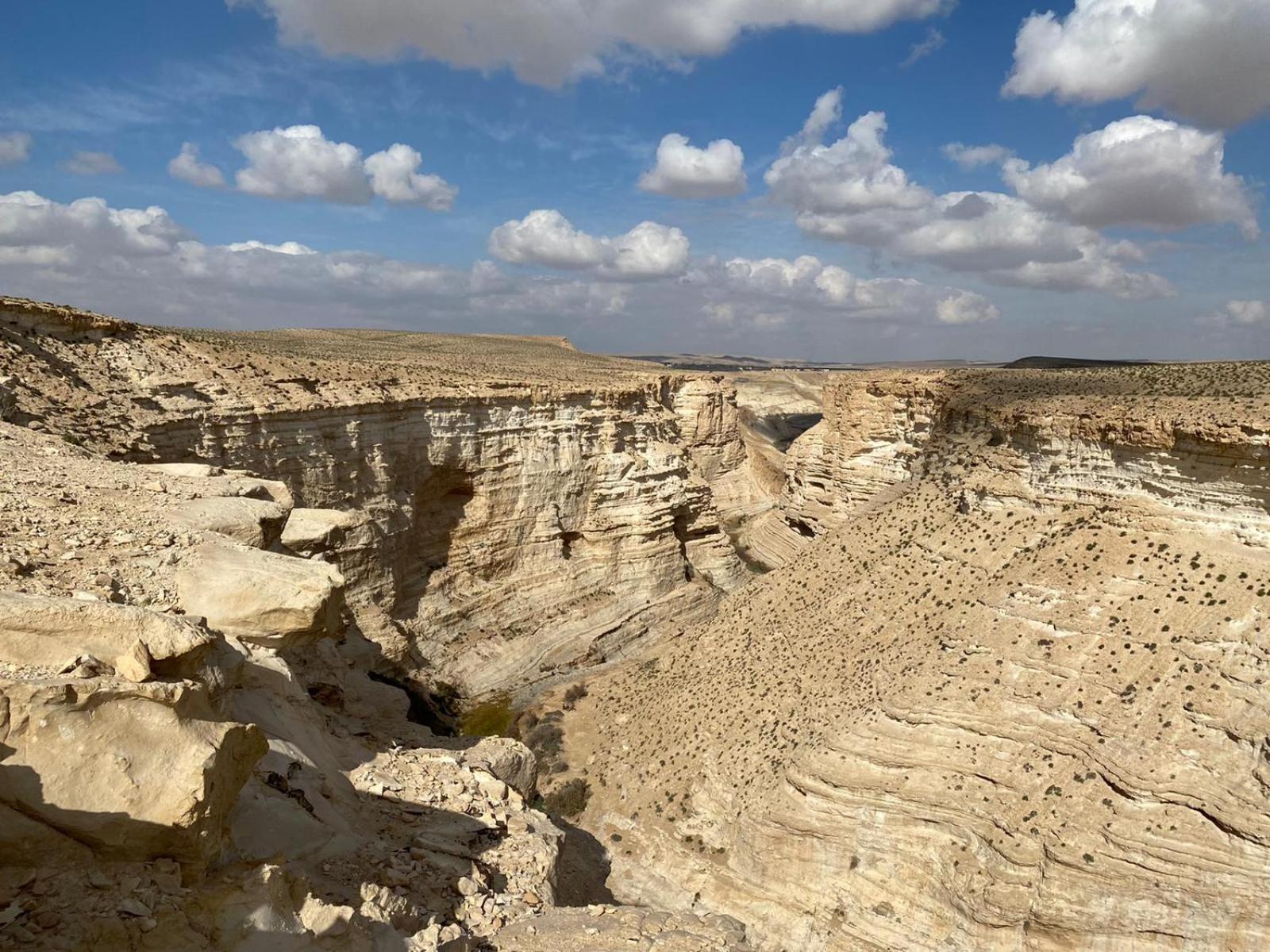 נוף בראשית - 14