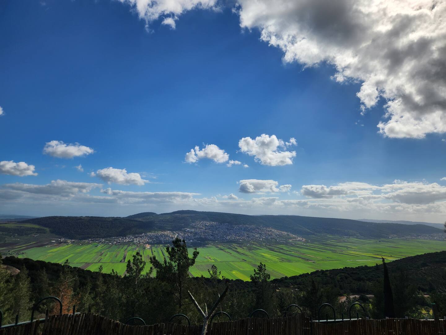 פינה קסומה בחורש (עם ממ"ד פרטי) - 23