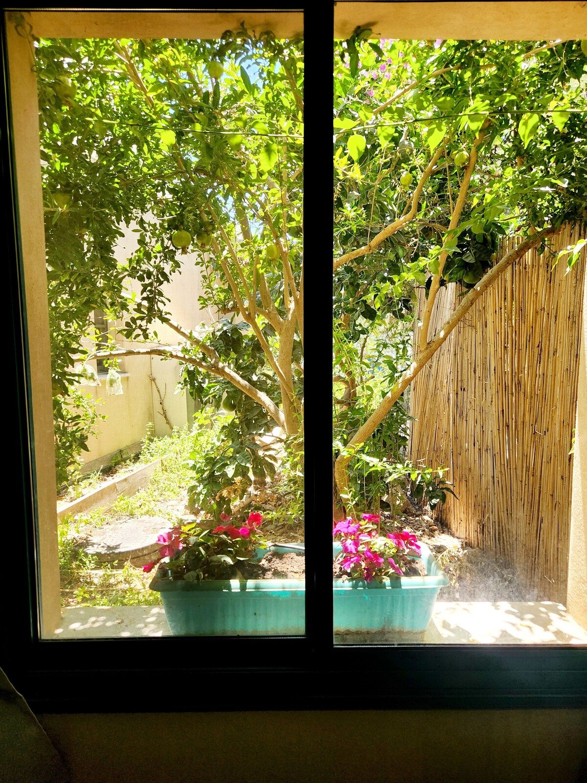La baita del frutteto sulla montagna in Hararit, Bassa Galilea, Israele