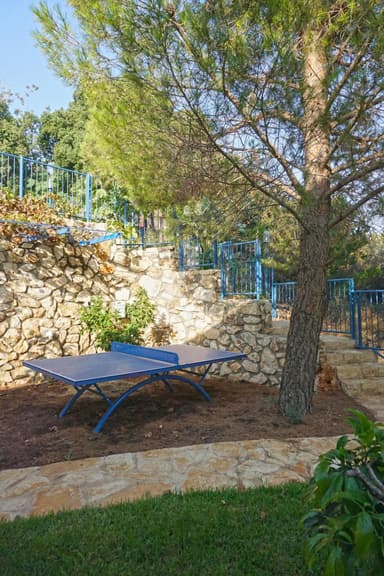 בית בארי - בית פרטי עם בריכה מחוממת, ג'קוזי וסאונה - 35