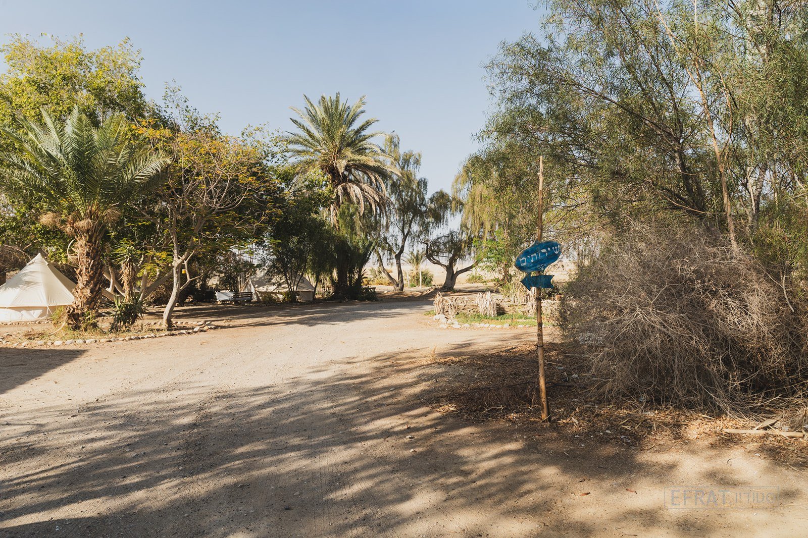 חוות תמרא - אוהל גלמפינג - 9