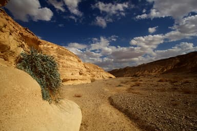 רותמס - אירוח מדברי בערבה - בקתת עשת - 24