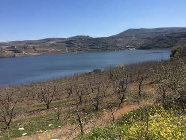 הבית של נאהד - צימר ליד החרמון - 6