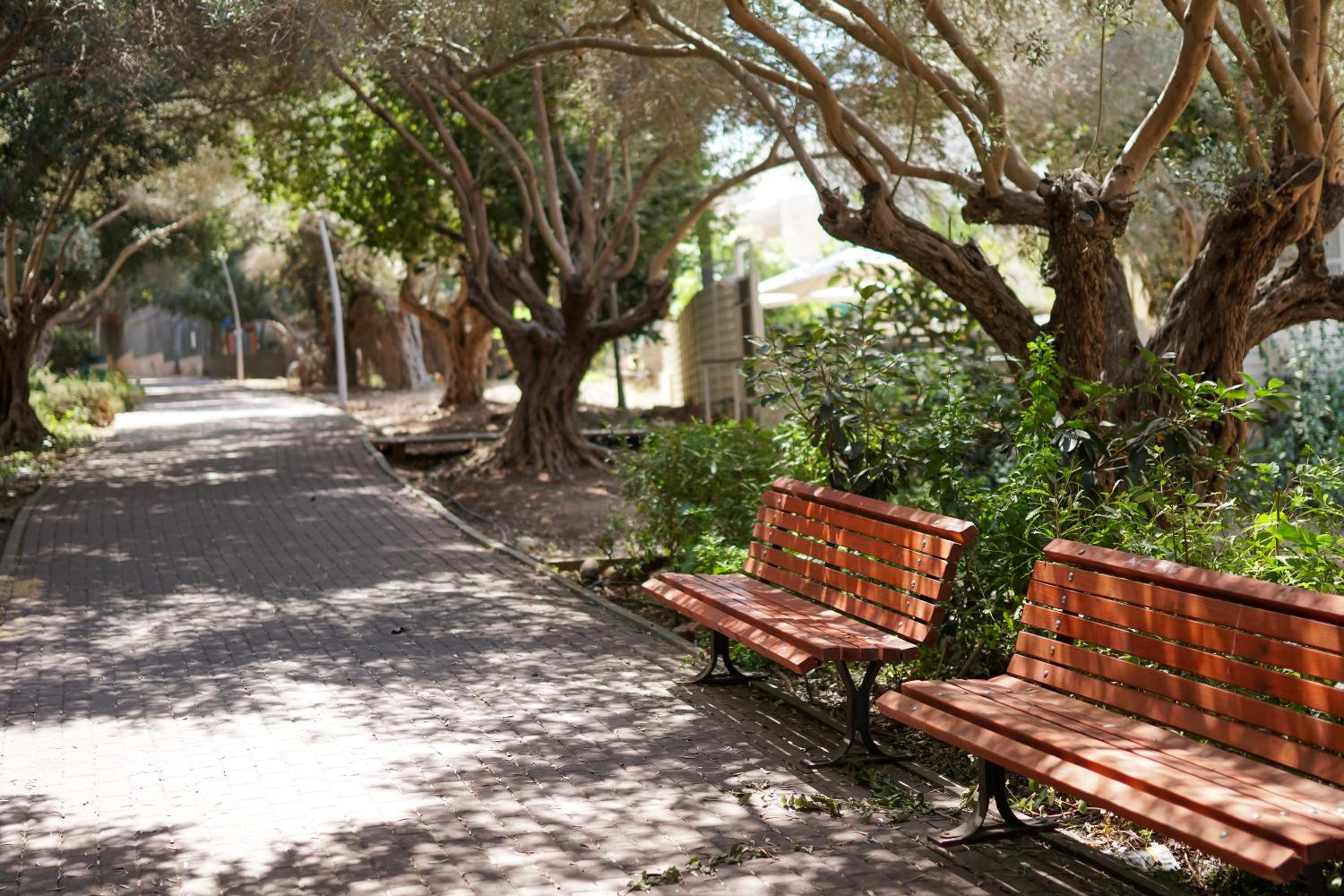 דירת נופש אמנדה - 16