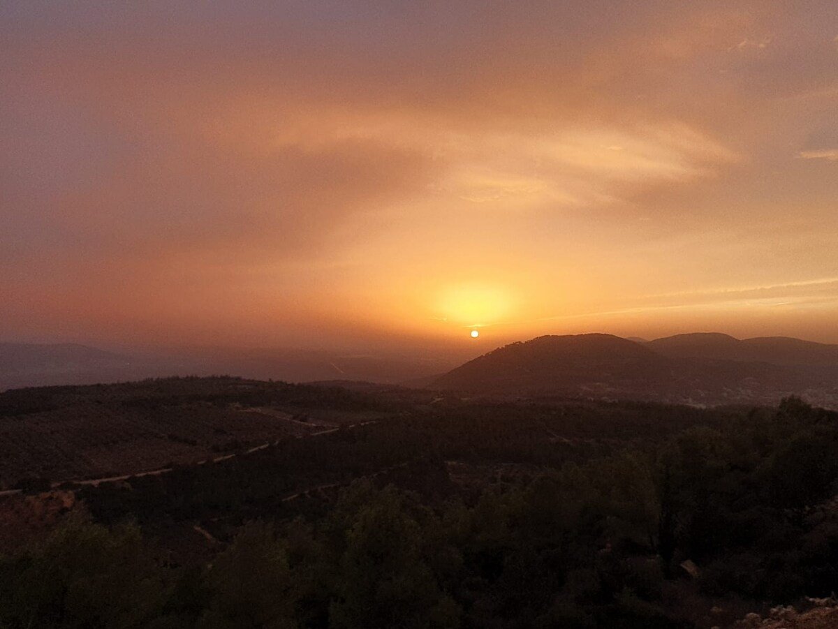 הסוויטה המכושפת של הביבונים - 31