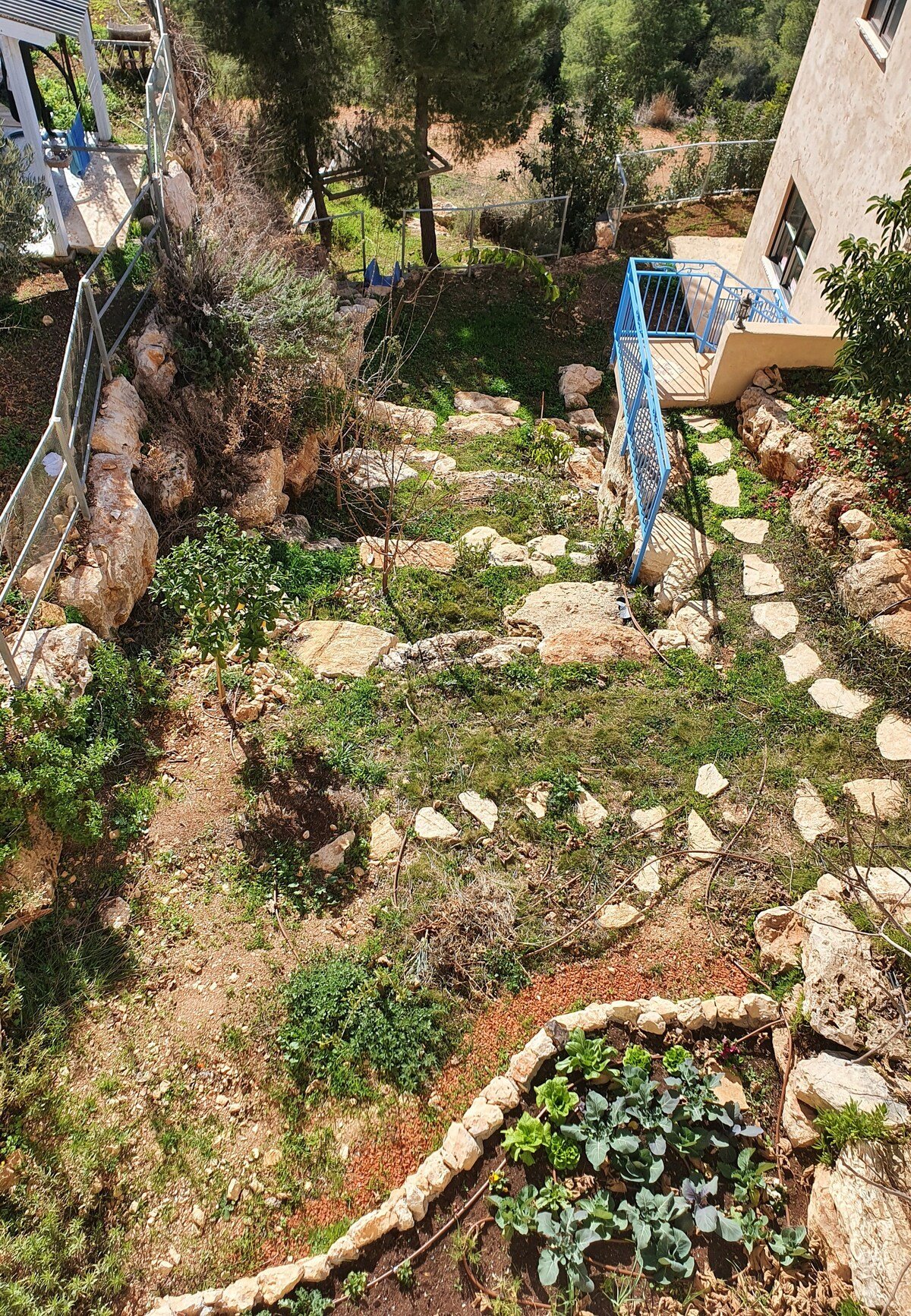 הסוויטה המכושפת של הביבונים - 21