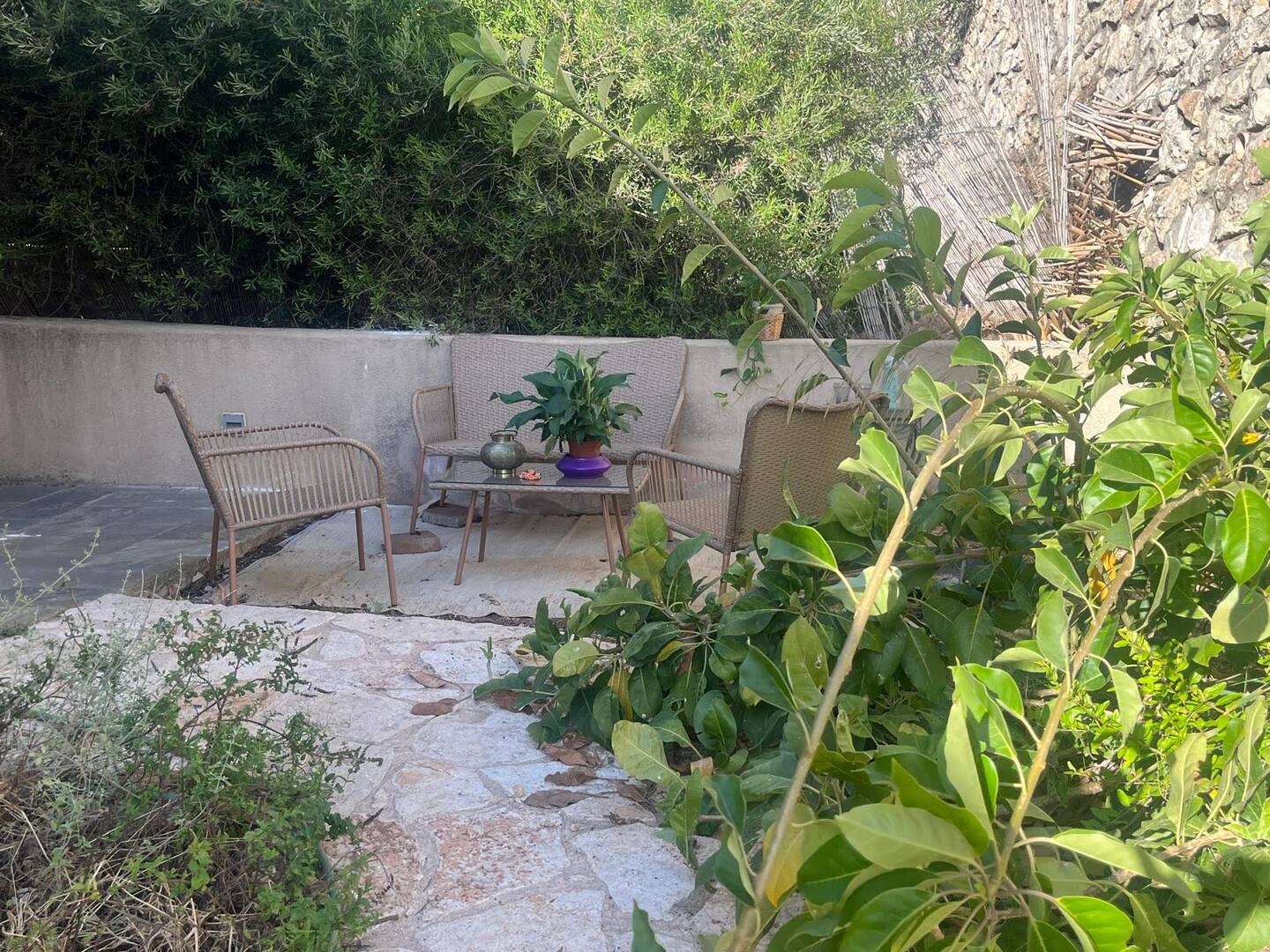 שירת הלב – יחידה קסומה עם גינה - 14