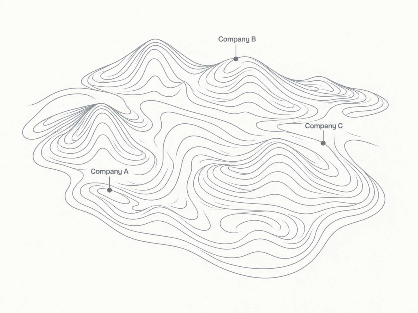 Fine contour lines form a broad landscape shared by Company A, Company B, and Company C.