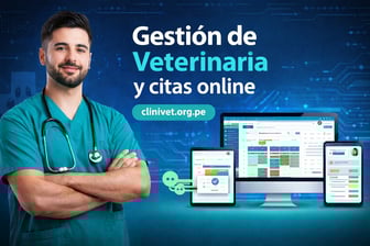 Cómo organizar una clínica veterinaria con un sistema de citas online