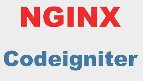 Cómo configurar CodeIgniter 4 con Nginx en un VPS Ubuntu 20 paso a paso