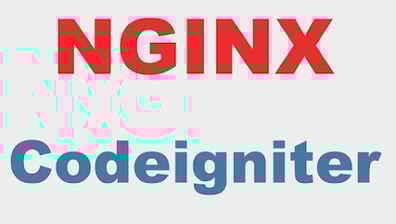 Cómo configurar CodeIgniter 4 con Nginx en un VPS Ubuntu 20 paso a paso