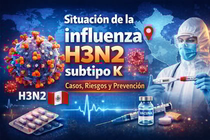 Situación de la influenza H3N2 subtipo K en el Perú: casos, riesgos y prevención