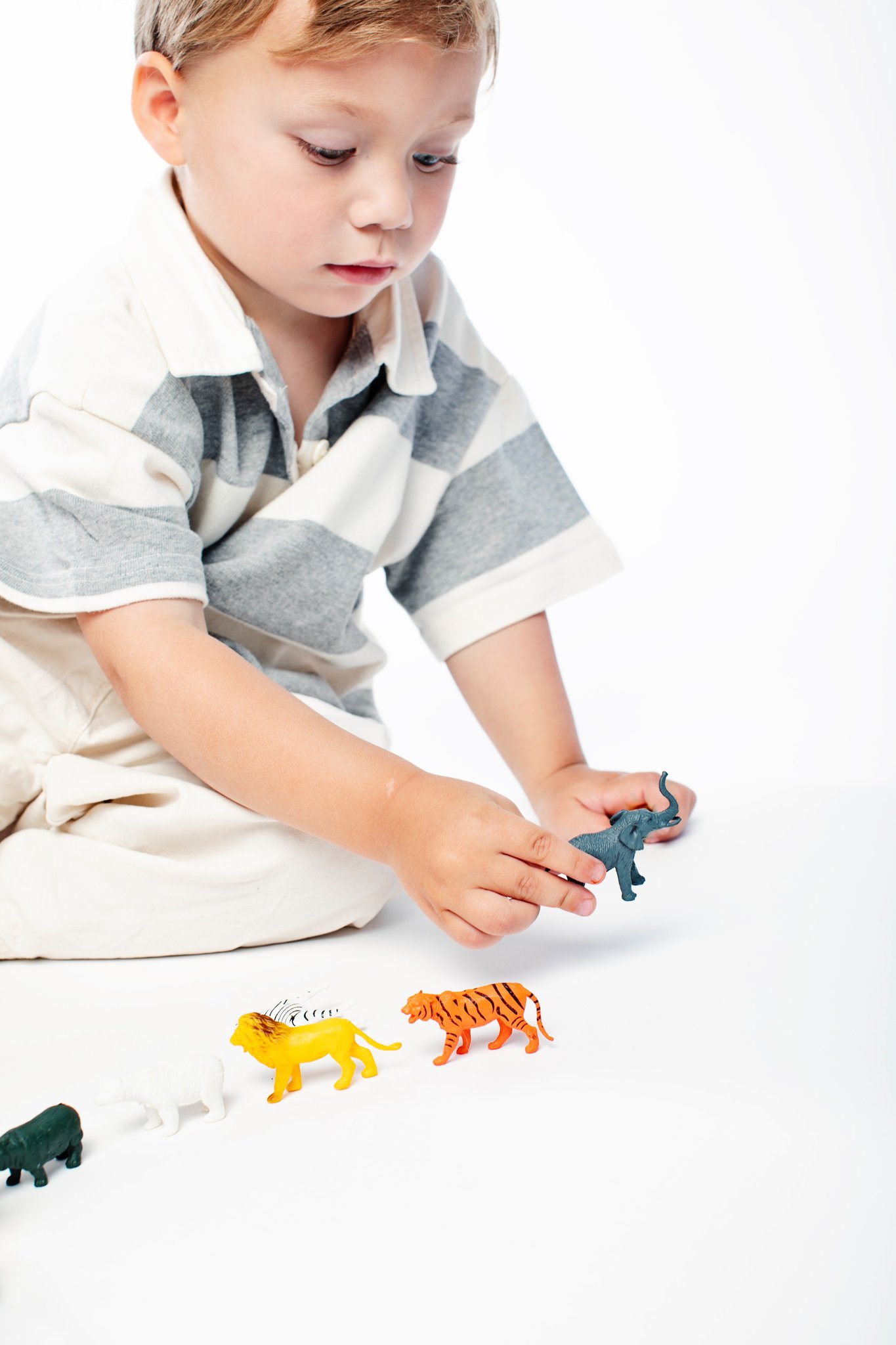 A boy lining up toy animals on the studio floor