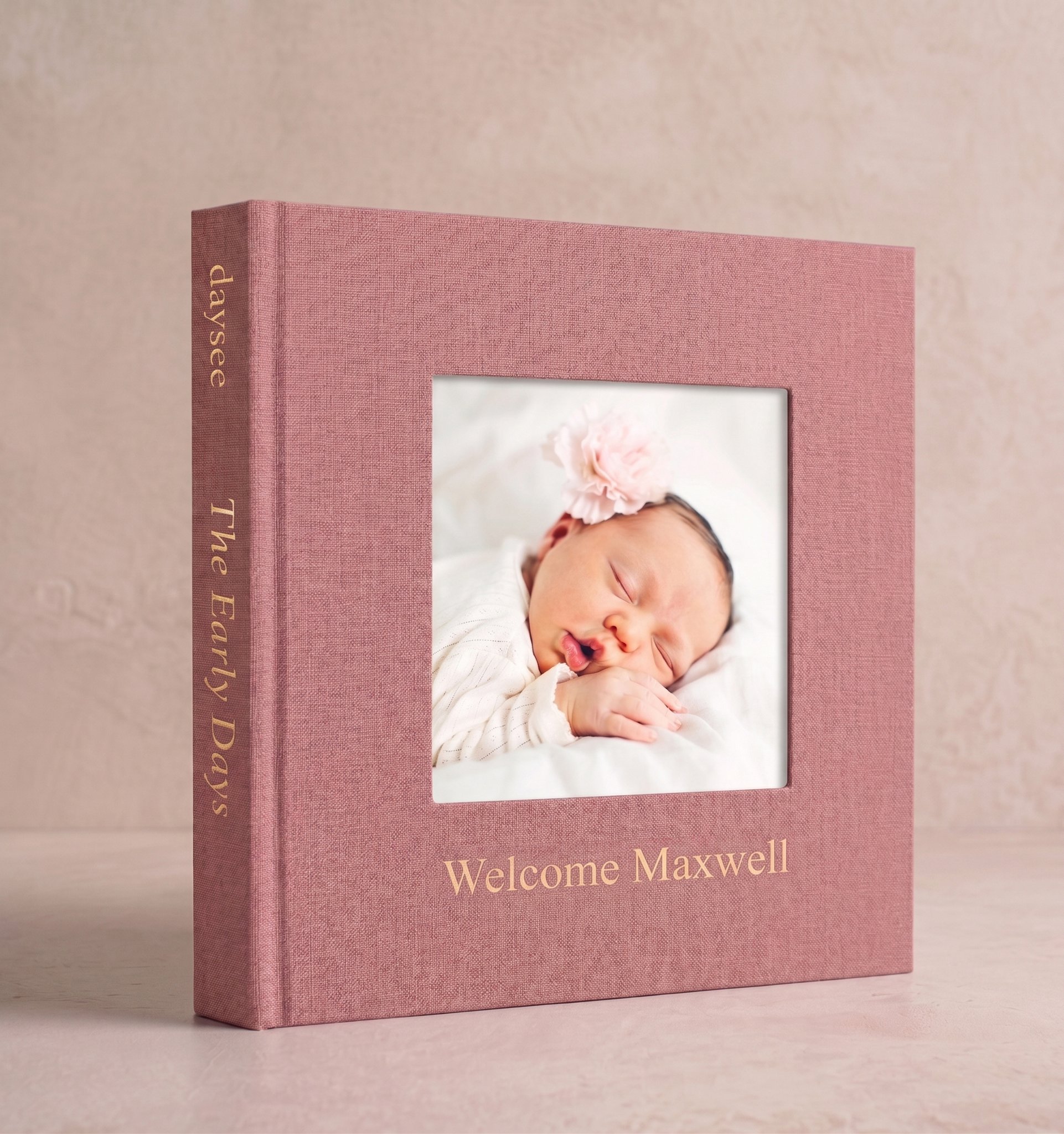 A rose linen daysee layflat album, The Early Days