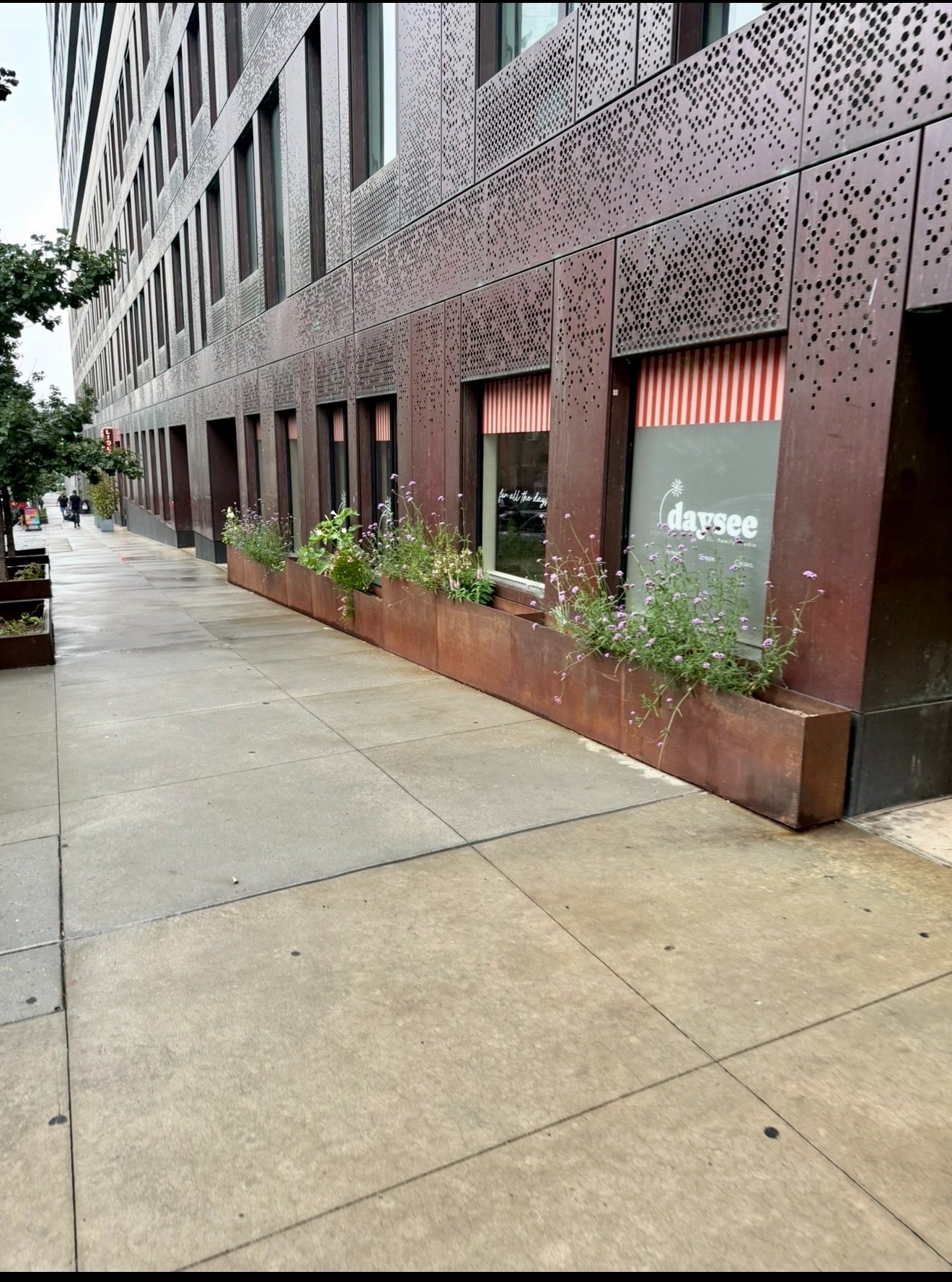 The daysee storefront on South 4th Street, striped awnings and planters along the sidewalk