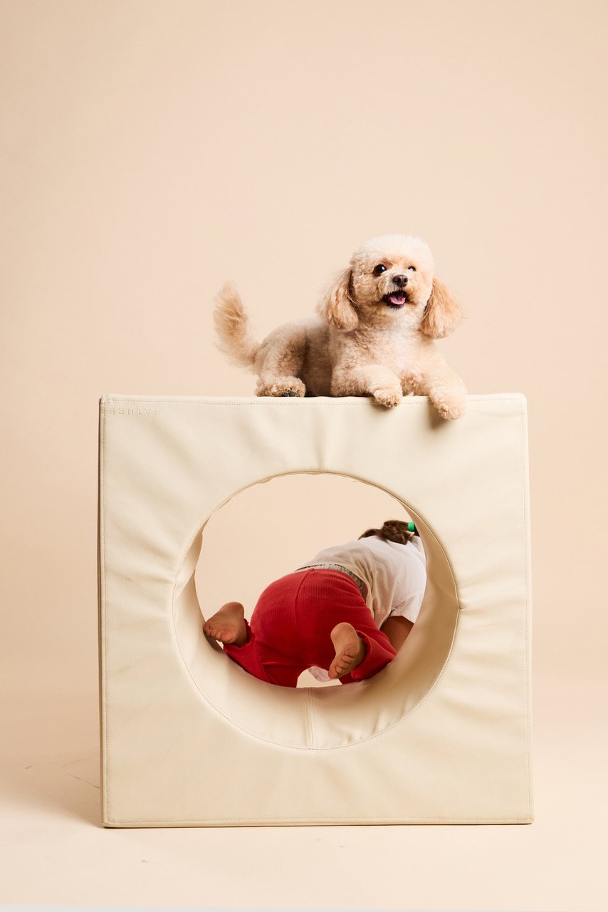 A toy poodle on top of a cube while a child in red trousers crawls through its round window
