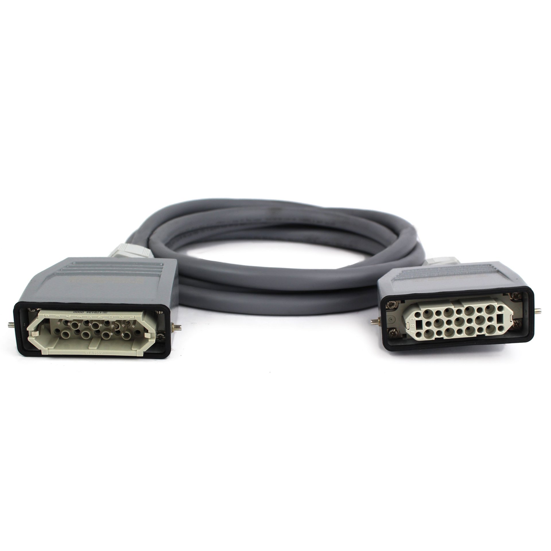 Mold Power Cable, 10 ft, 15 Amp, 5 Zone - Image 1