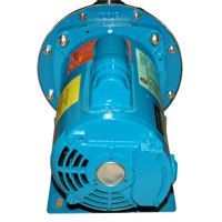 Pump & Motor Assembly, G & L Series - Image 3