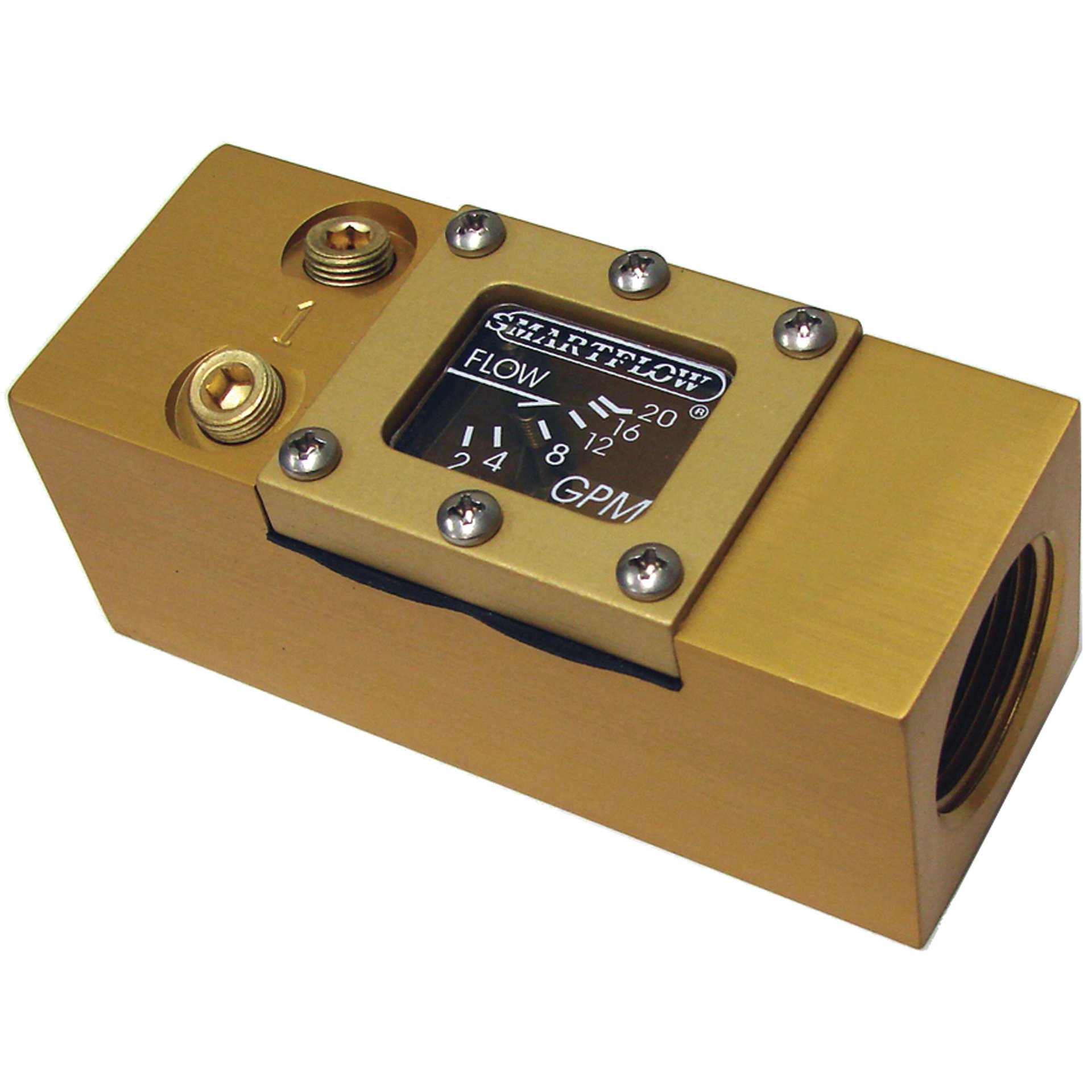 Flowmeter, 1" NPT Inlet and Outlet, 20 gpm, Aluminum Body - Image 1