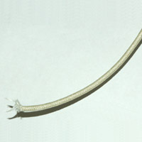 Heater Band & Cartridge Heat Wire