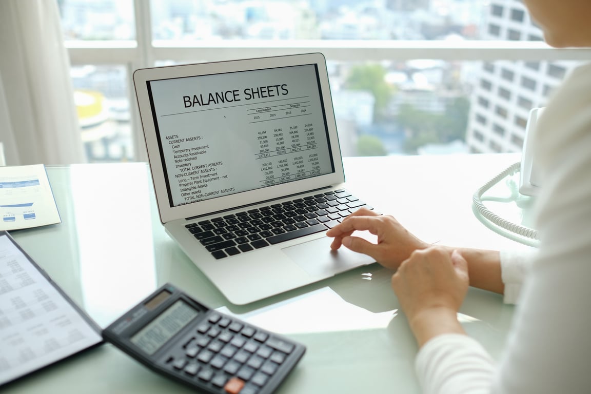 Professional analyzing a clean and organized balance sheet on a computer, exemplifying the clarity of a dedicated hotel accounting system