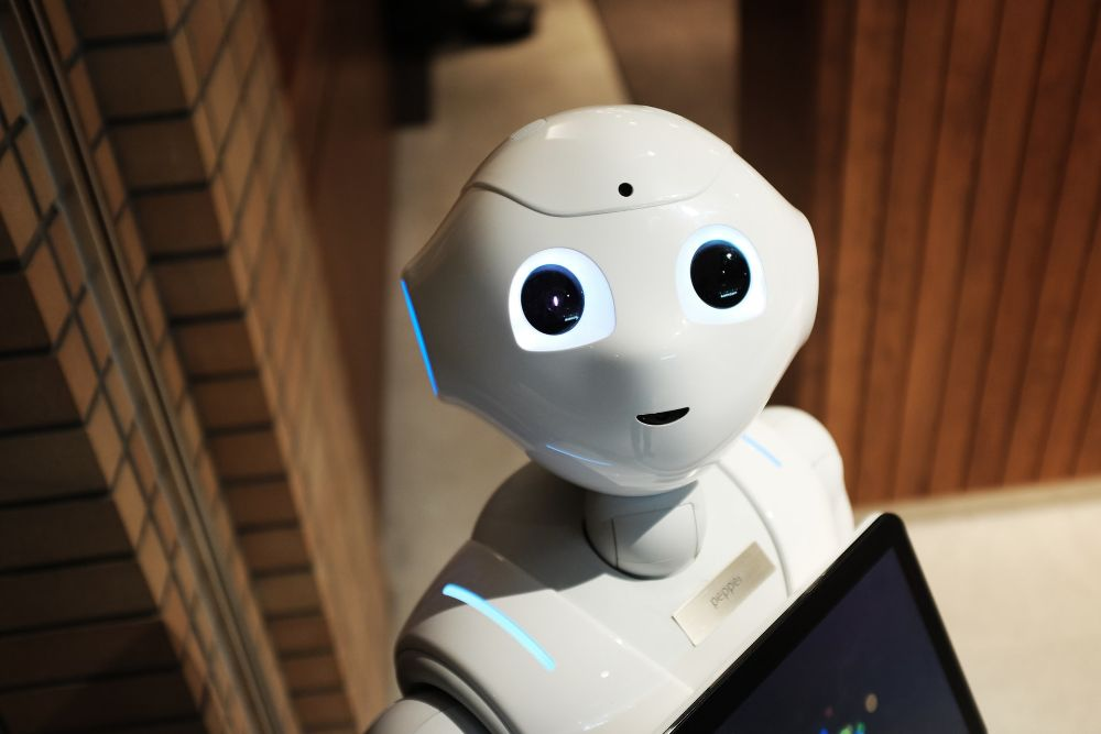 Robot in a hotel