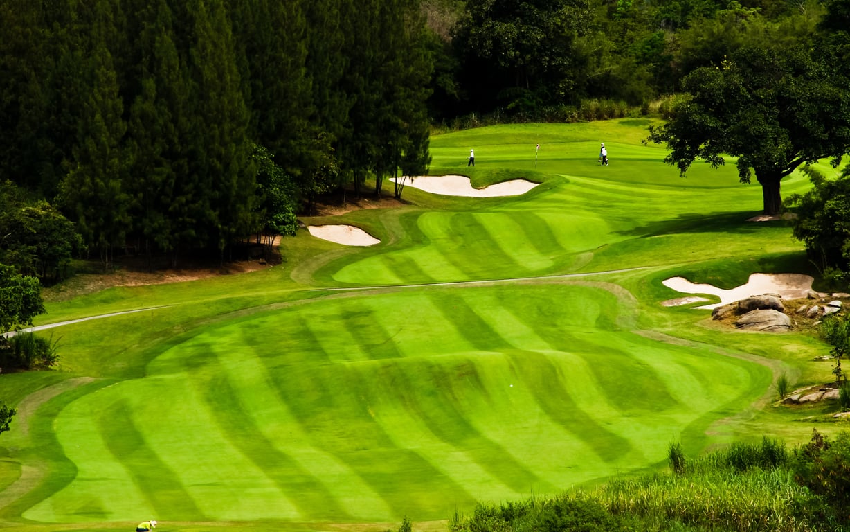 View of a lush golf course as a prime room type supplement.