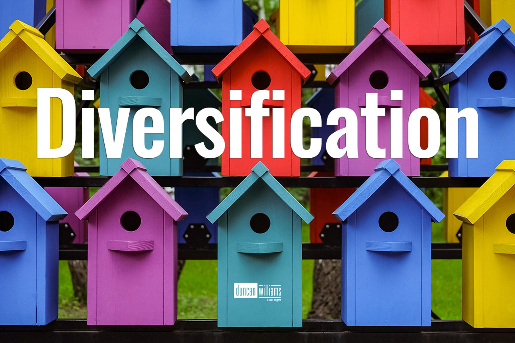 "Diversify or Risk: Why Smart Investors Can't Afford to Put All Their Eggs in One Basket"