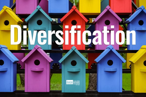 "Diversify or Risk: Why Smart Investors Can't Afford to Put All Their Eggs in One Basket"