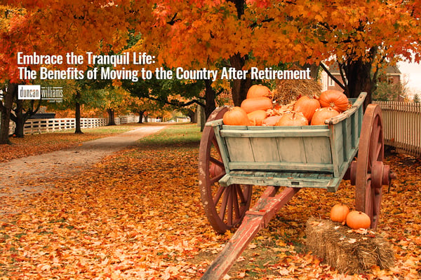 Embrace the Tranquil Life