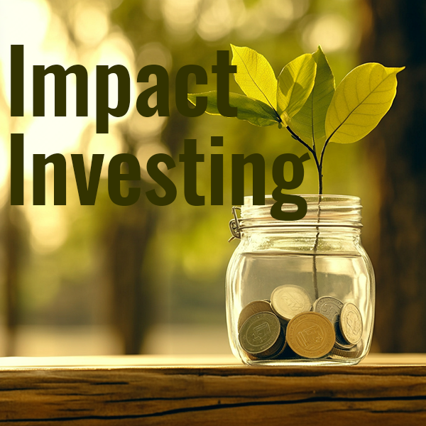 Impact Investing: Aligning Your Portfolio with Your Values