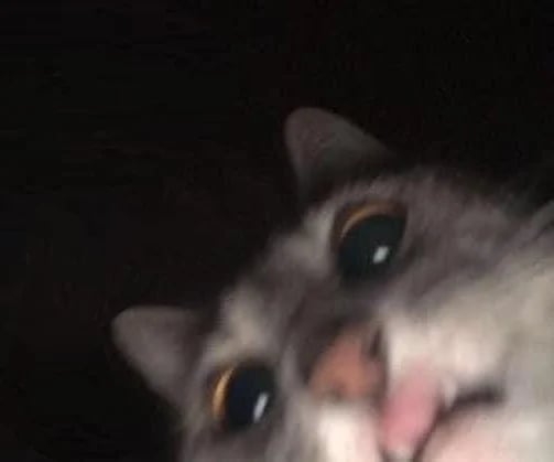 Avatar of WeenyOwl