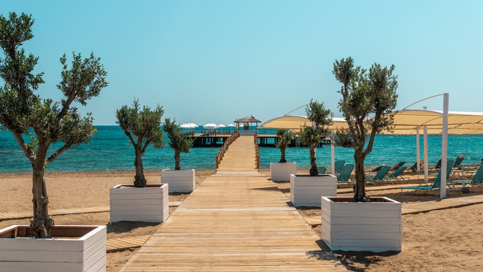 Zeytin ağaçlı yürüyüş yolu ve iskele